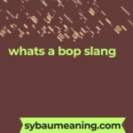 whats a bop slang