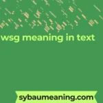 wsg meaning in text