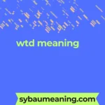 wtd meaning
