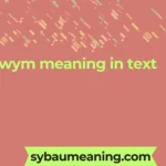 wym meaning in text