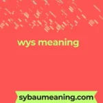 wys meaning