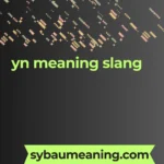 yn meaning slang