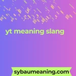 yt meaning slang