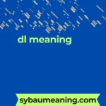 dl meaning