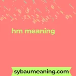 hm meaning