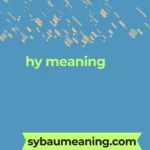 hy meaning