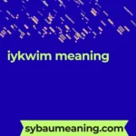 iykwim meaning