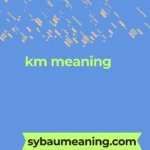 km meaning