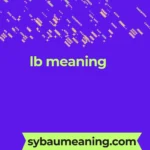 lb meaning