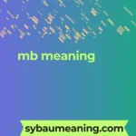 mb meaning