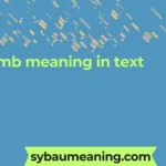 mb meaning in text