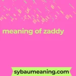 meaning of zaddy
