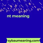 nt meaning