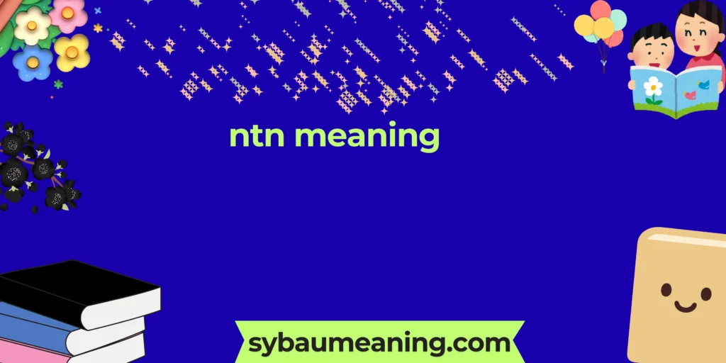 ntn meaning