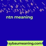 ntn meaning