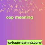 oop meaning