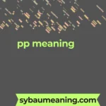 pp meaning
