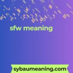 sfw meaning