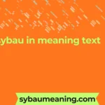 sybau in meaning text