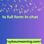 ts full form in chat