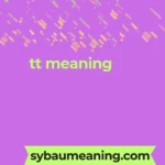 tt meaning