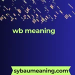 wb meaning