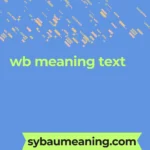 wb meaning text
