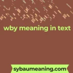 wby meaning in text