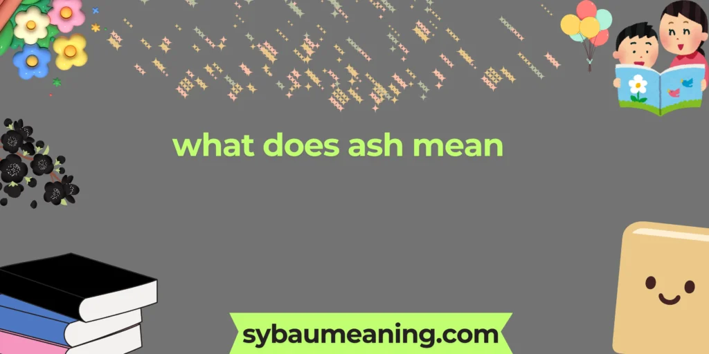 what does ash mean
