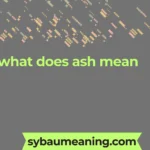 what does ash mean