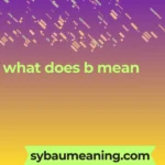 what does b mean