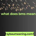 what does bms mean