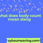 what does body count mean slang