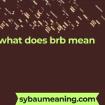 what does brb mean