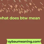what does btw mean