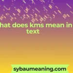 what does kms mean in text