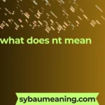 what does nt mean