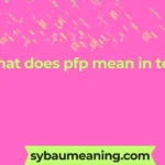 what does pfp mean in text