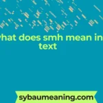 what does smh mean in text