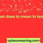 what does ts mean in text