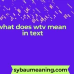 what does wtv mean in text