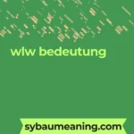 wlw bedeutung