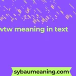wtw meaning in text