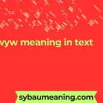 wyw meaning in text