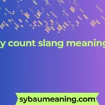 body count slang meaning