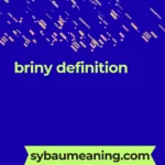 briny definition