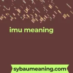 imu meaning