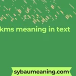 kms meaning in text