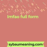 lmfao full form