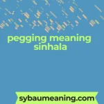 pegging meaning sinhala